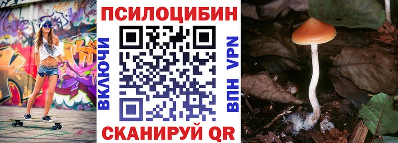 Псилоцибиновые грибы Psilocybine cubensis  это телеграм  Горно-Алтайск  где купить  
